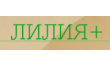 Лилия+