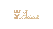 АСТОР, Консультационная фирма