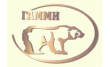 Гамми